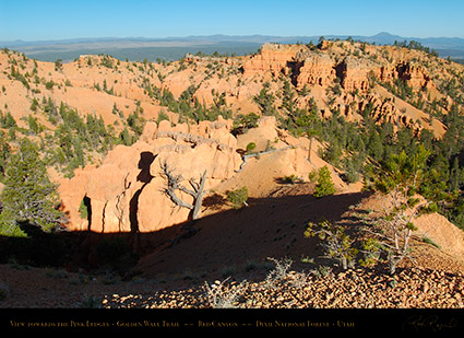 Red_Canyon_Golden_Wall_Trail_X5695