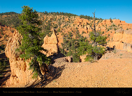 Red_Canyon_Golden_Wall_Trail_X5698