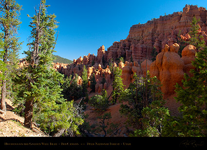Red_Canyon_Hoodoos_Golden_Wall_Trail_X5706