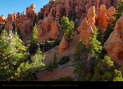 Red_Canyon_Hoodoos_Golden_Wall_Trail_X5715