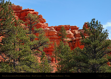 Red_Canyon_Pink_Ledges_2016