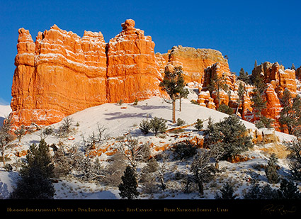 Red_Canyon_Pink_Ledges_Winter_5553