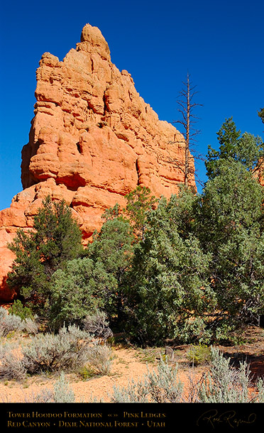 Red_Canyon_Tower_Hoodoo_5969