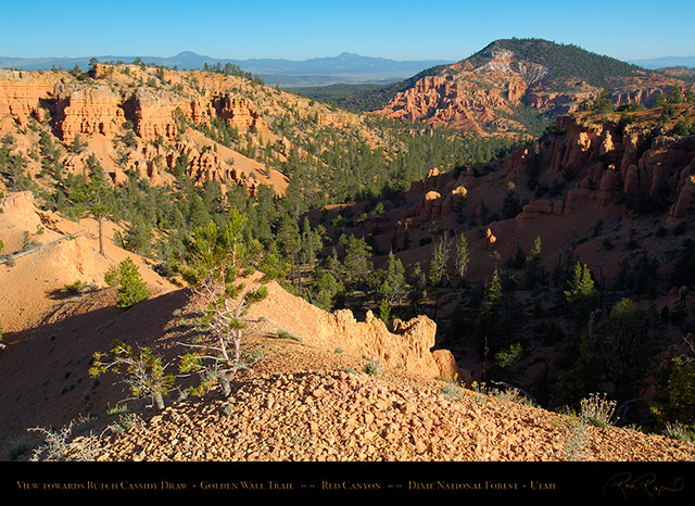 Red_Canyon_Golden_Wall_Trail_X5694