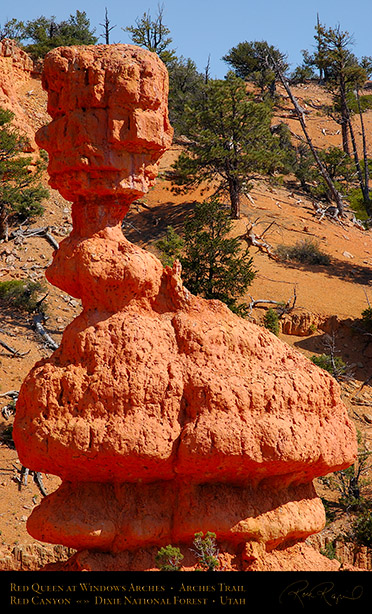 Red_Canyon_Red_Queen_Arches_Trail_0709