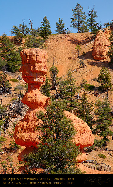 Red_Canyon_Red_Queen_Arches_Trail_0708
