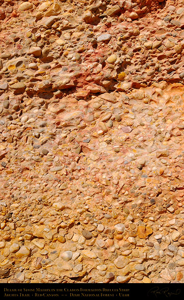 Red_Canyon_Stone_Matrix_Arches_Trail_0744