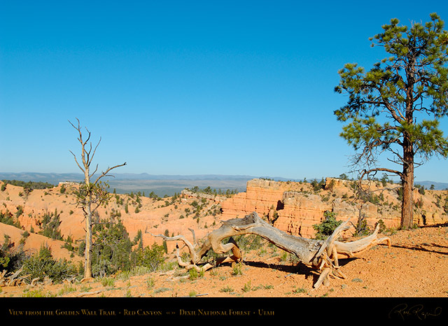 Red_Canyon_Golden_Wall_Trail_X5692