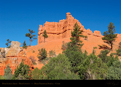 Red_Canyon_Pink_Ledges_5962