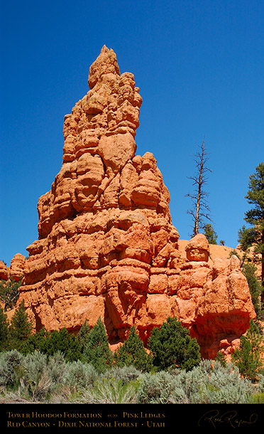 Red_Canyon_Tower_Hoodoo_6456