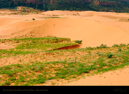 Coral_Pink_Sand_Dunes_X2421