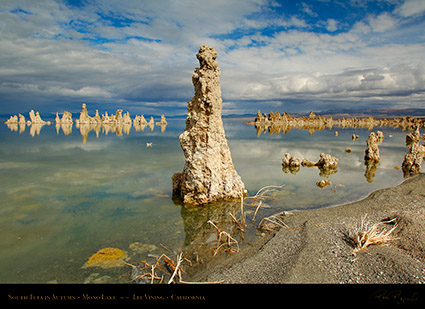 Mono_Lake_South_Tufa_Autumn_X6470