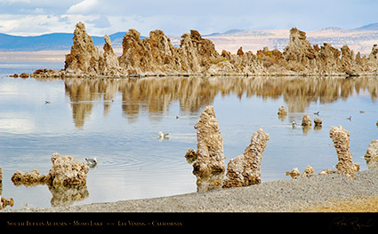 Mono_Lake_South_Tufa_Autumn_X6485