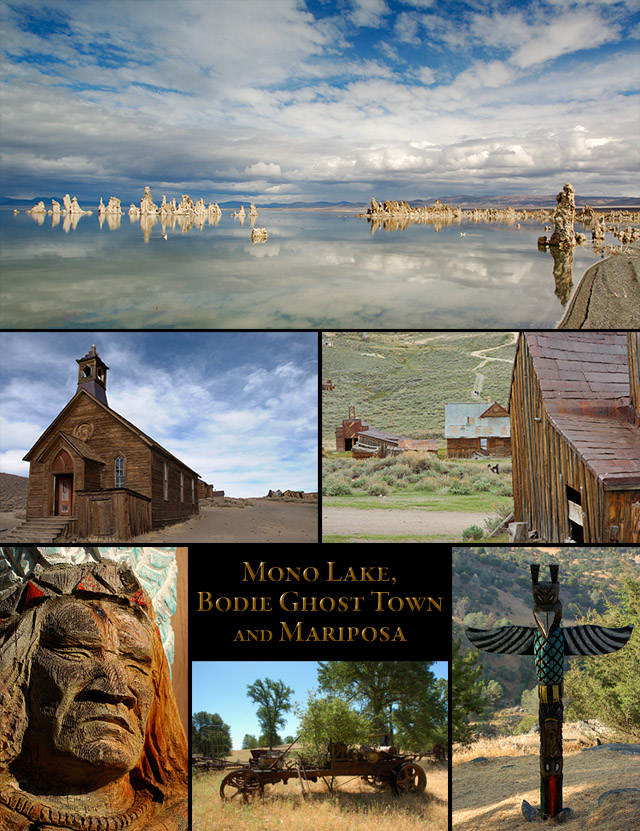 Mono_Bodie_Mariposa
