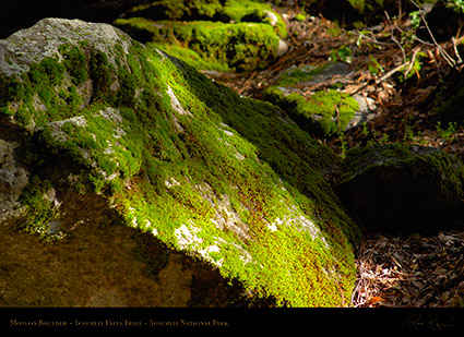 Moss_on_Boulders_Yosemite_Falls_Trail_X0394