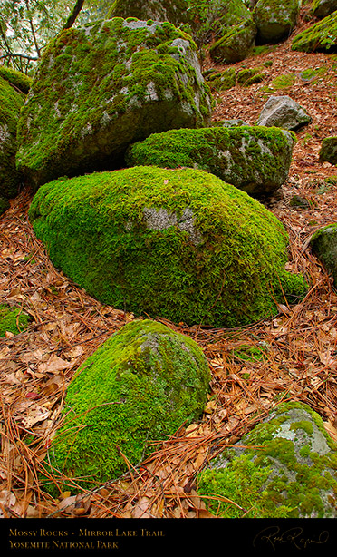 Mossy_Rocks_Mirror_Lake_Trail_2345