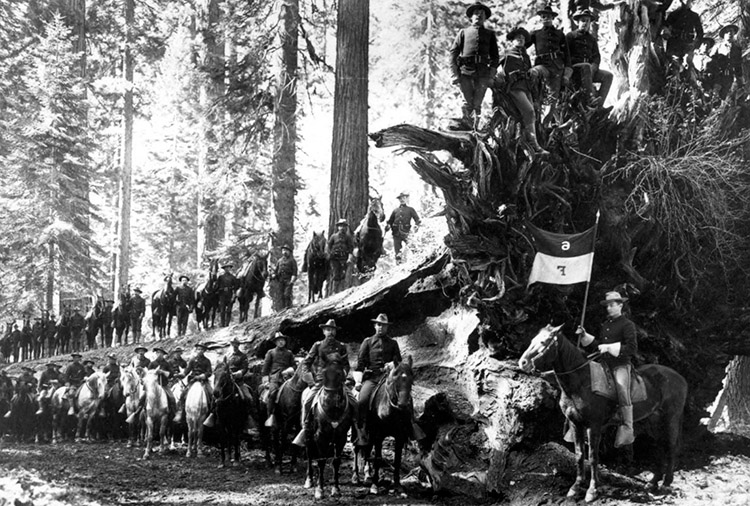Fallen_Monarch_6th_Cavalry_1899s