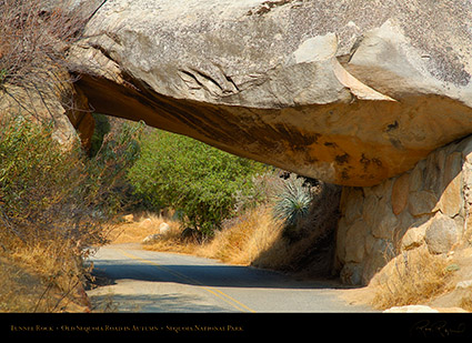 Tunnel_Rock_Old_Sequoia_Road_Autumn_X6943