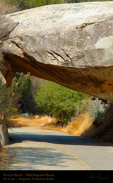 Tunnel_Rock_Old_Sequoia_Road_Autumn_X6945