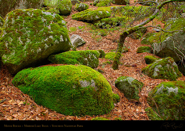 Mossy_Rocks_Mirror_Lake_Trail_2344