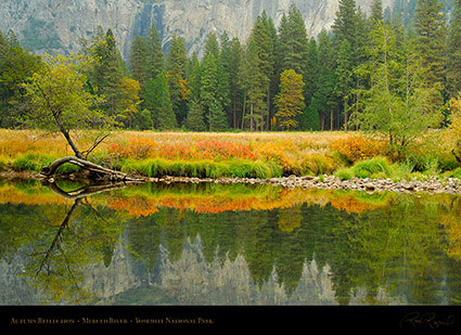 Merced_River_Autumn_Reflection_X6414
