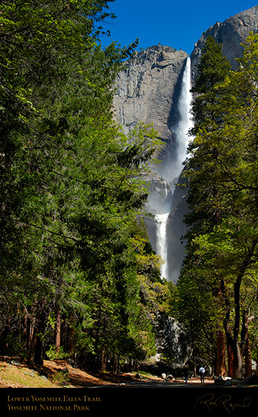 Lower_Yosemite_Falls_Trail_X0640