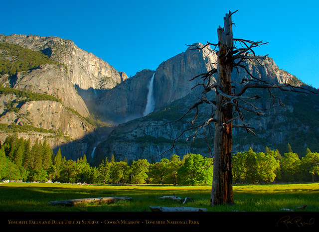 Yosemite_Falls_Cooks_Meadow_Sunrise_X0842