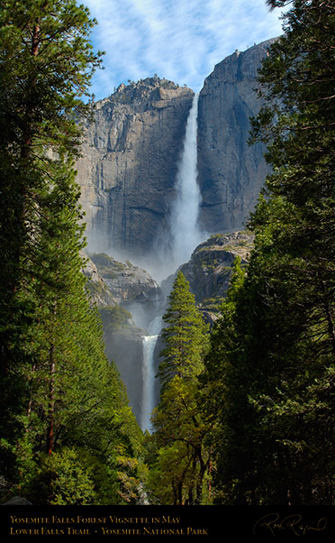 Yosemite_Falls_Forest_Vignette_X0418
