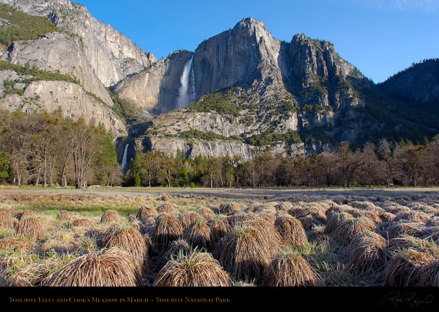 Yosemite_Falls_Cooks_Meadow_2991
