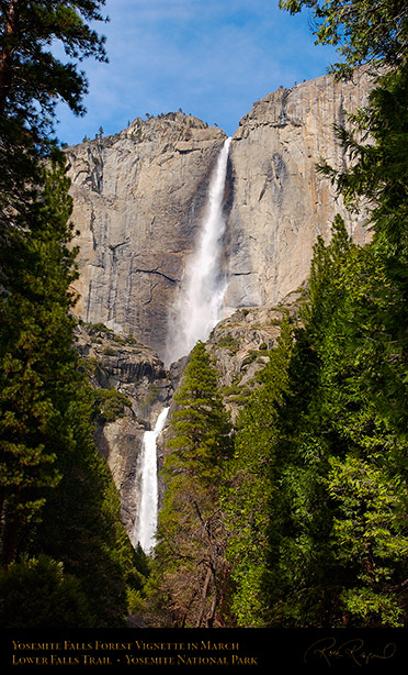 Yosemite_Falls_Forest_Vignette_2218