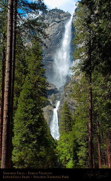 Yosemite_Falls_Forest_Vignette_2997