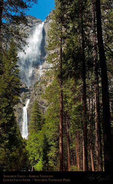 Yosemite_Falls_Forest_Vignette_3736