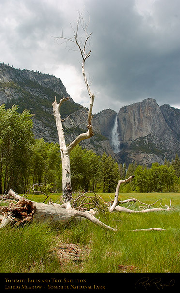 Yosemite_Falls_Leidig_Meadow_3391