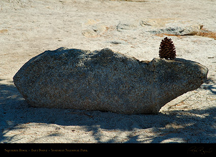 Squirrel_Rock_Taft_Point_X6729