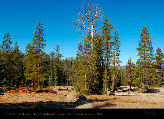 Taft_Point_Trailhead_X6628