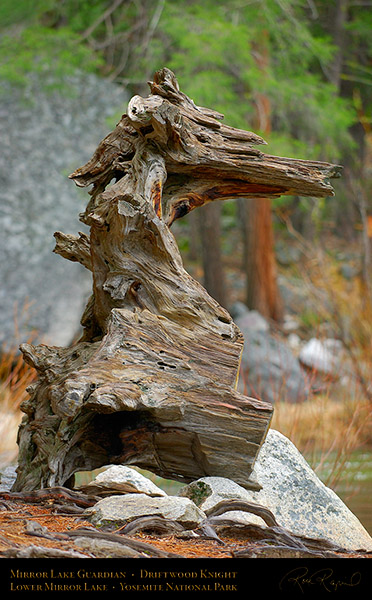 Mirror_Lake_Guardian_Driftwood_Knight_2355