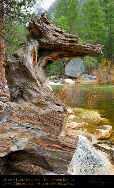 Mirror_Lake_Guardian_Driftwood_Knight_2359