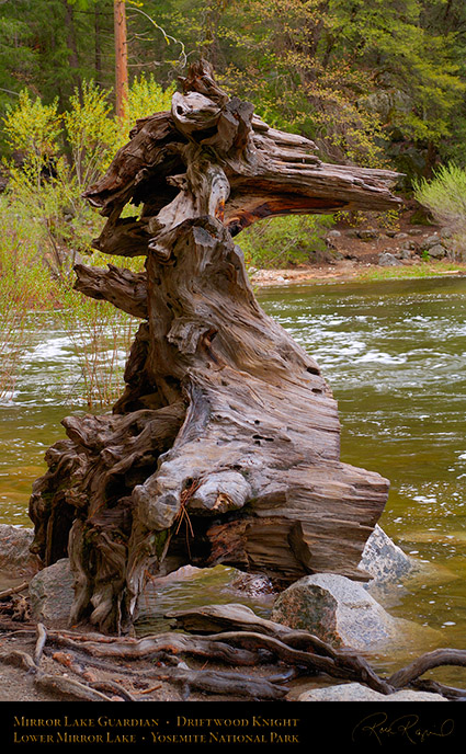 Mirror_Lake_Guardian_Driftwood_Knight_X0274