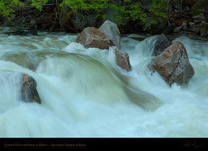 Lower_Tenaya_Creek_Dawn_X0684