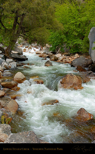 Lower_Tenaya_Creek_2844