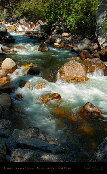 Lower_Tenaya_Creek_3600