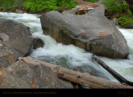 Lower_Tenaya_Creek_Logjam_X2160