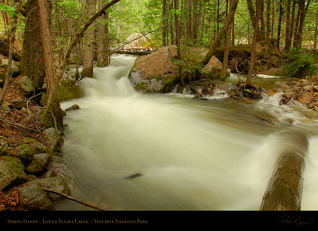 Lower_Tenaya_Creek_X2157