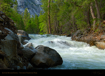 Lower_Tenaya_Creek_X2195