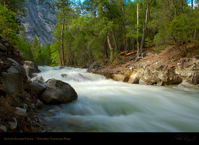 Lower_Tenaya_Creek_X2206