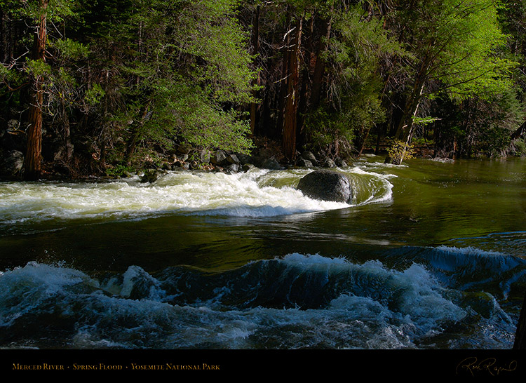 Merced_River_Spring_Flood_X2102