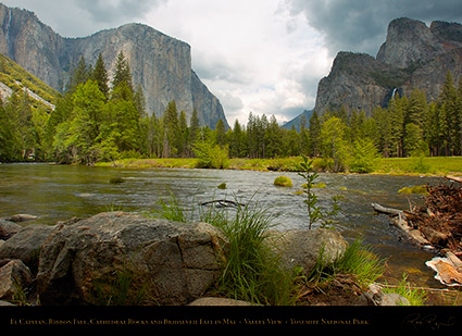 El_Capitan_Cathedral_Rocks_Valley_View_3406