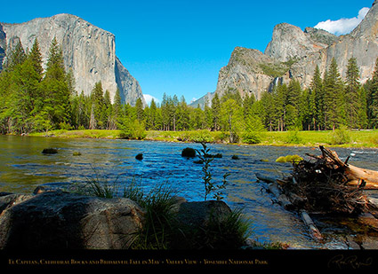 El_Capitan_Cathedral_Rocks_Valley_View_3760