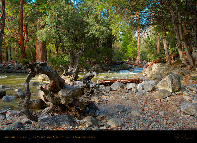 Yosemite_Creek_John_Muir_Cabin_Site_X2087