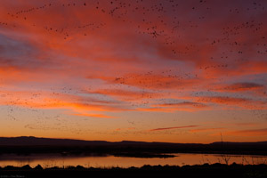 NewMexico_Sunrise_X6762
